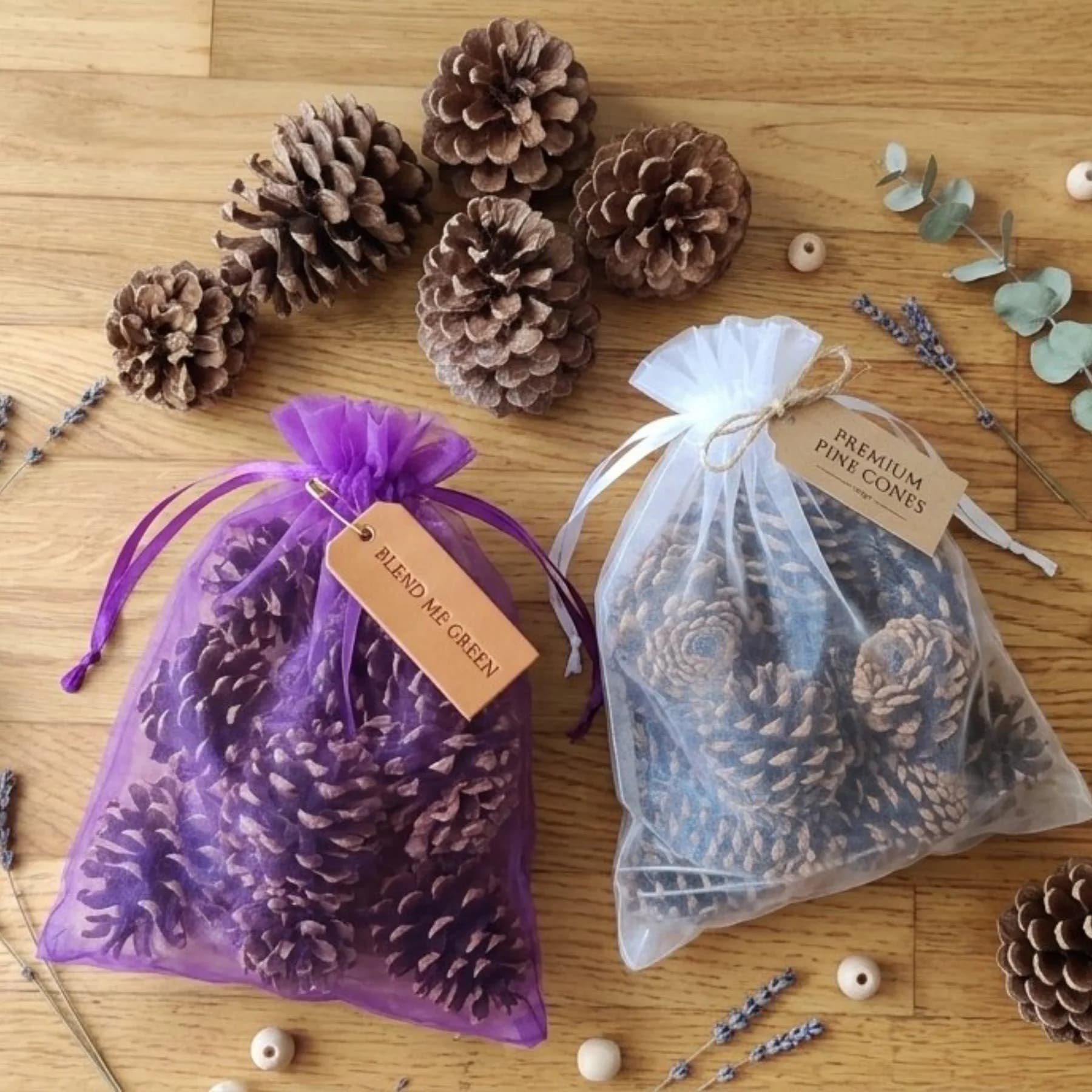 The "Sahasrara & Crown" Sacred Pinecone Set